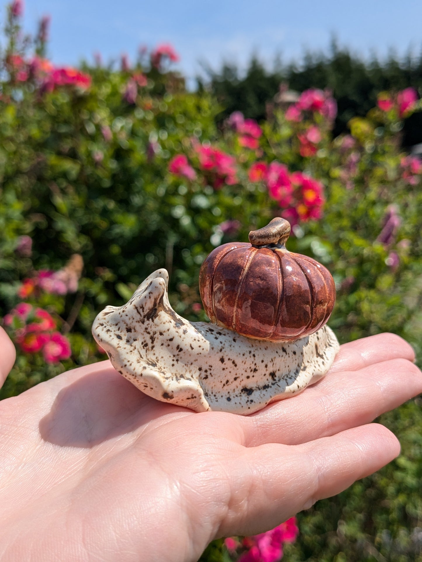 Ceramic pumpkin snail š Spiced Birch