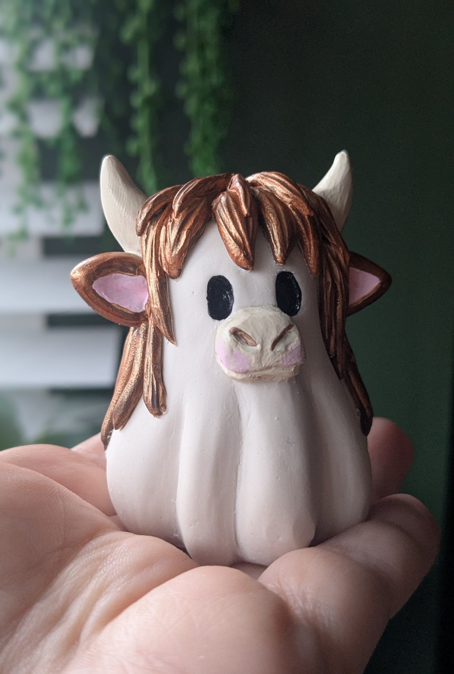 Highland cow