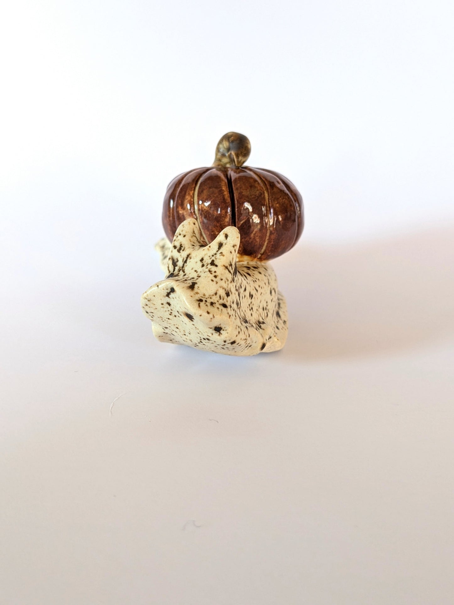 Ceramic pumpkin snail š Spiced Birch