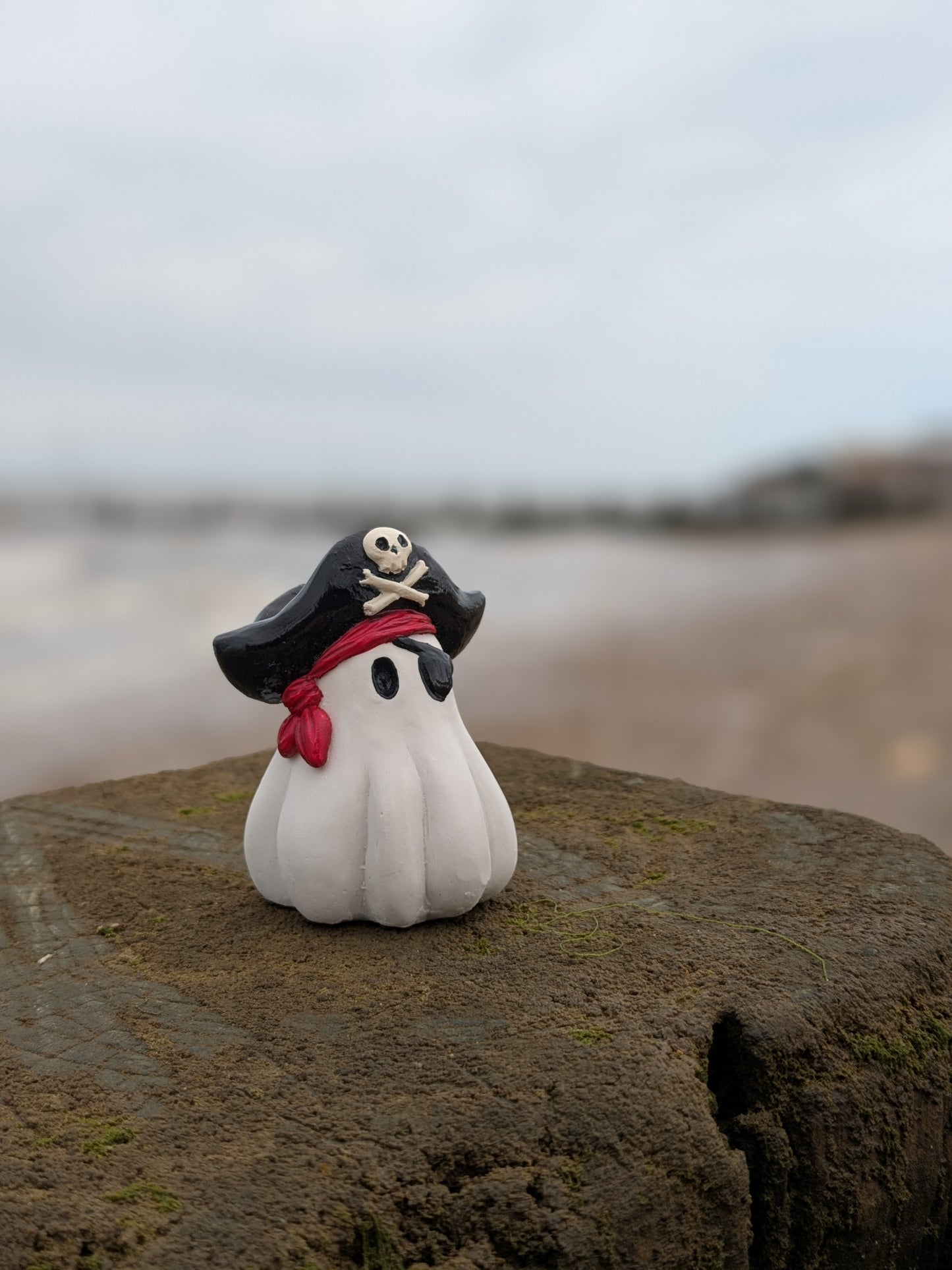 Pirate ☠️