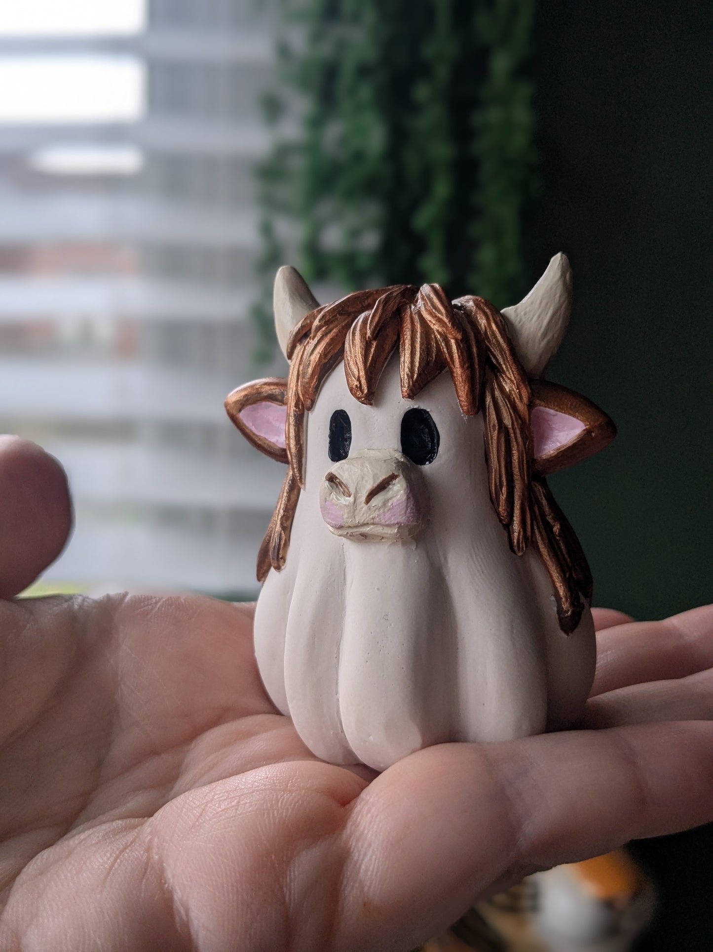 Highland cow