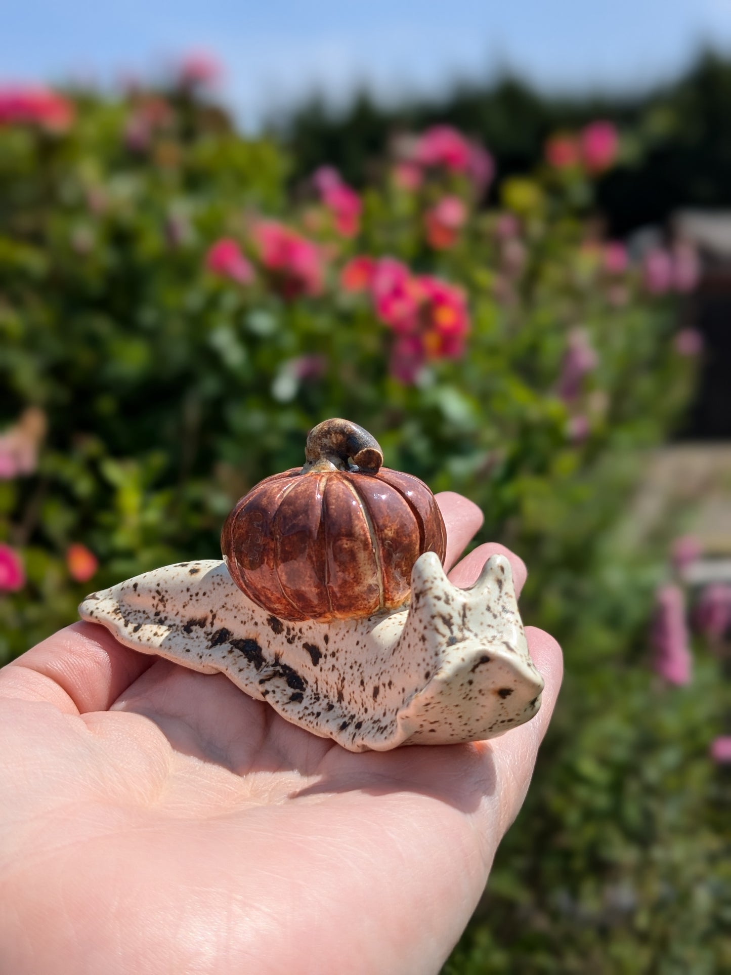Ceramic pumpkin snail š Spiced Birch