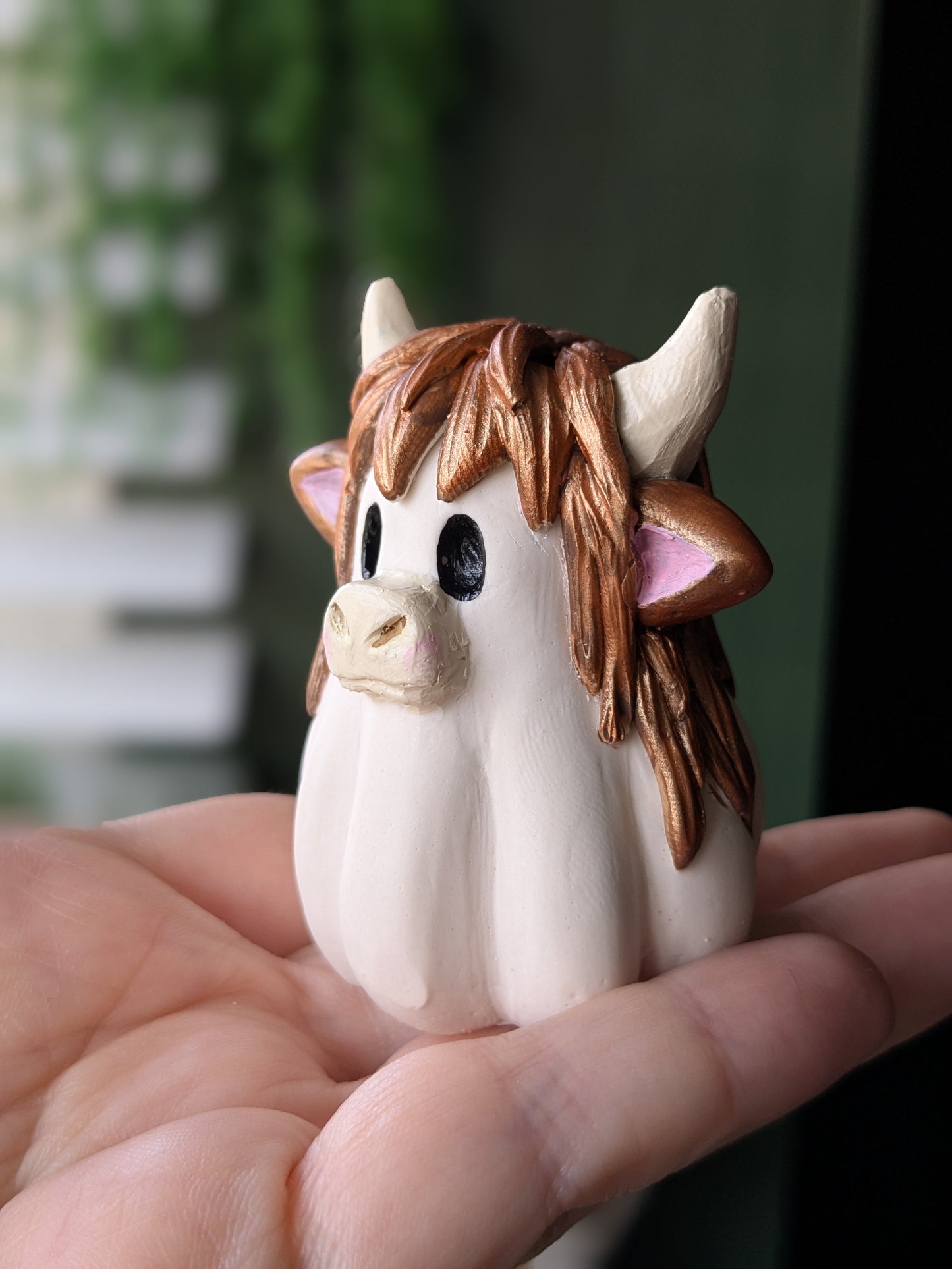 Highland cow