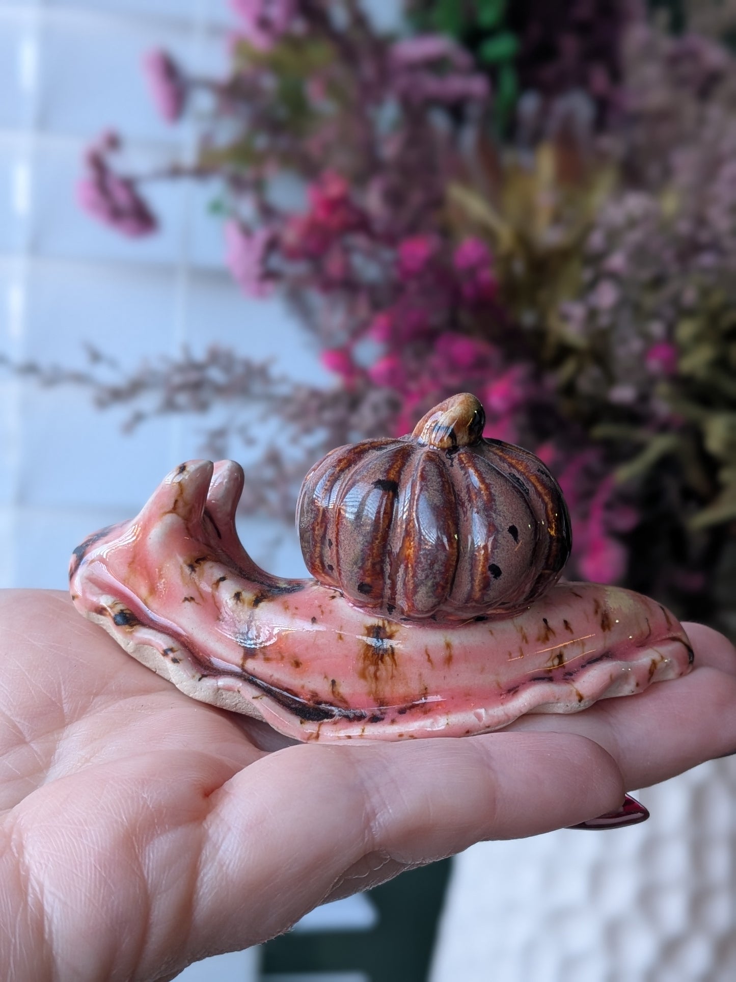 Peppered plum and Amaryllis