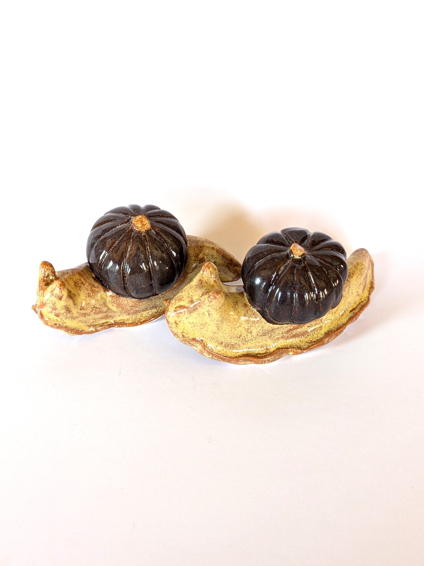 Ceramic pumpkin snail š Witches fig