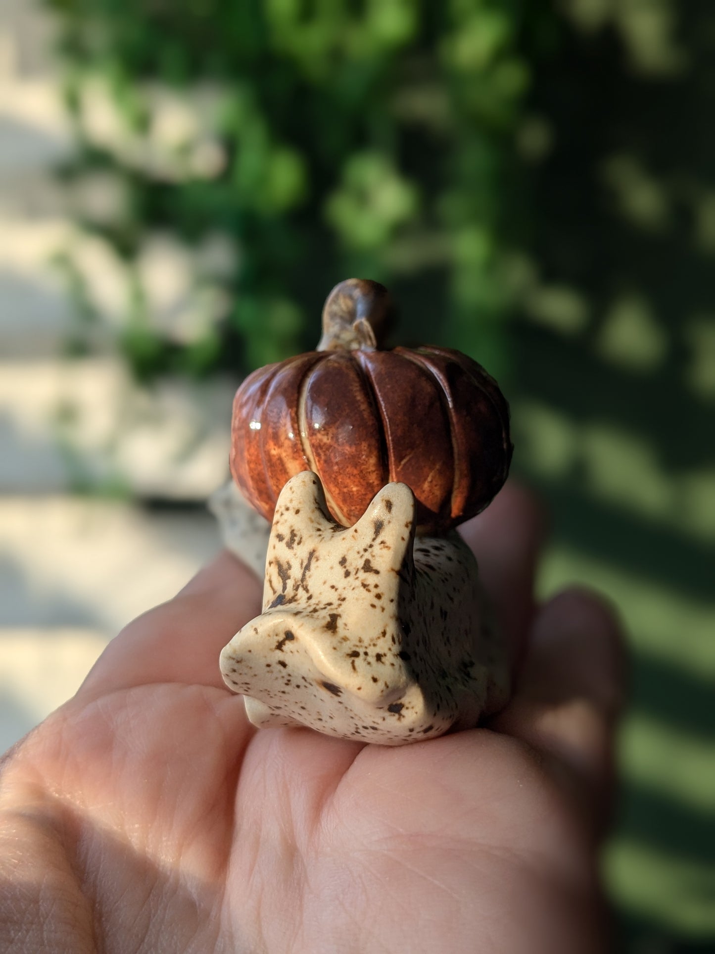 Ceramic pumpkin snail š Spiced Birch