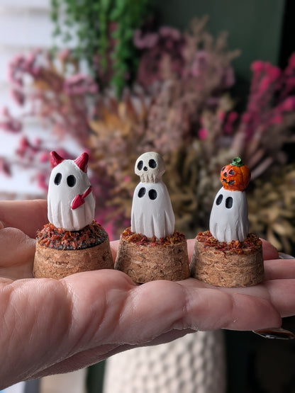 Mini terrariums
