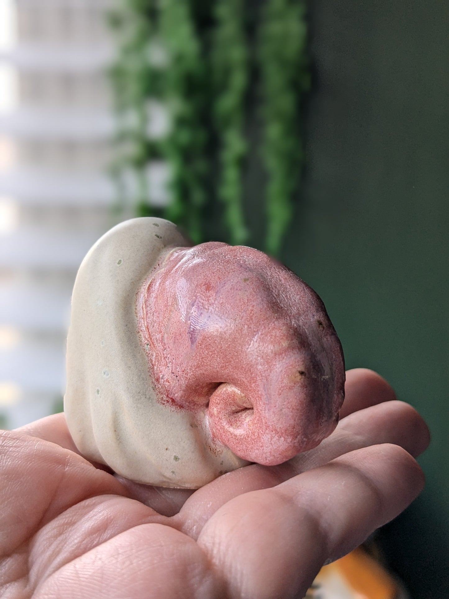 Pink ghost snail