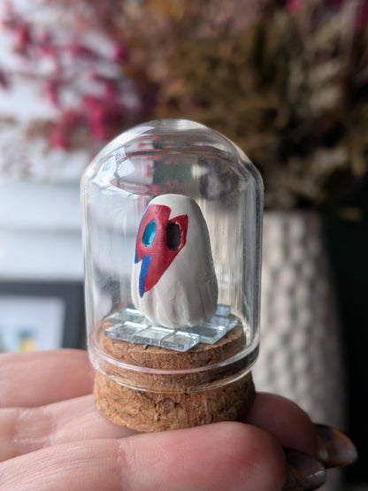 Mini terrariums