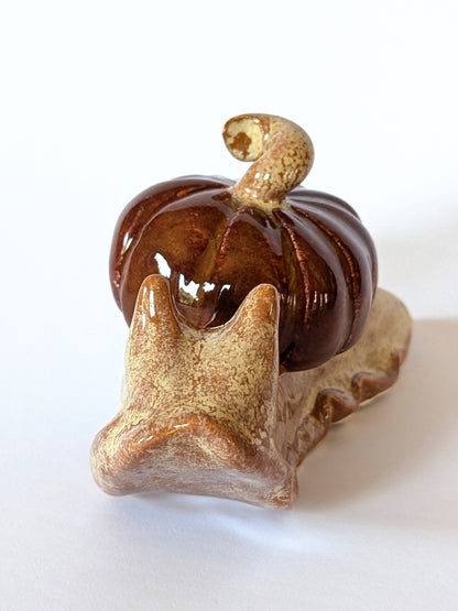 Ceramic pumpkin snail 🐌 Pumpkin shortbread