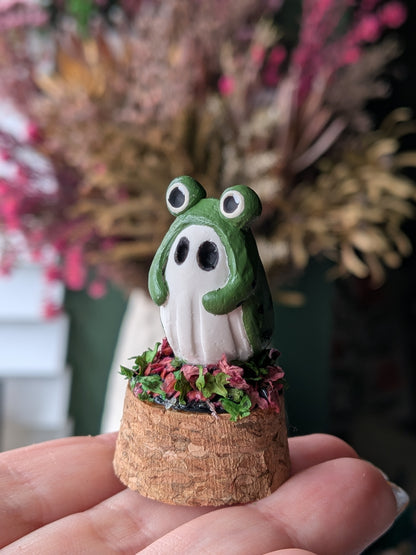 Mini terrariums