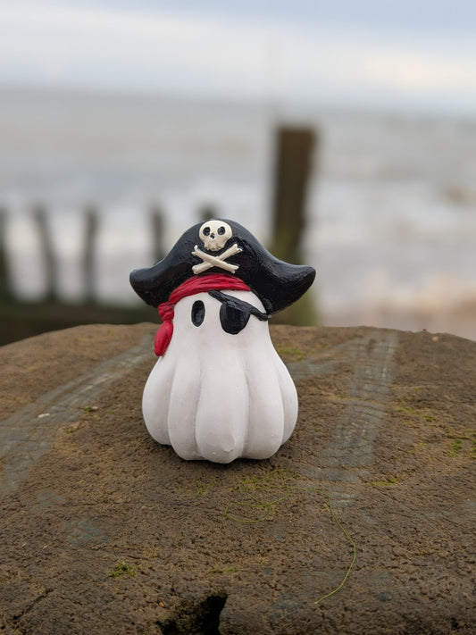 Pirate ☠️