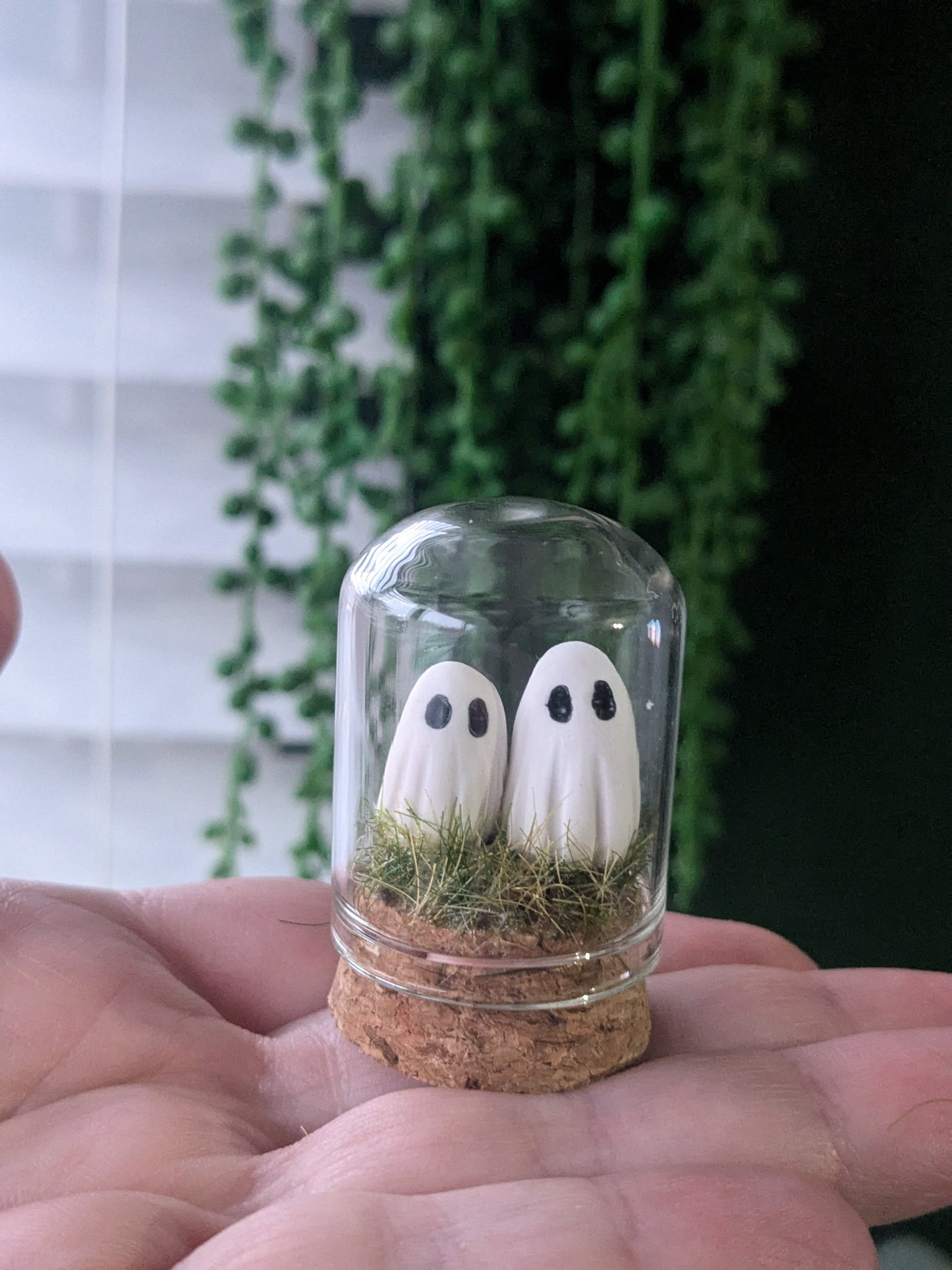 Mini Terrarium couples