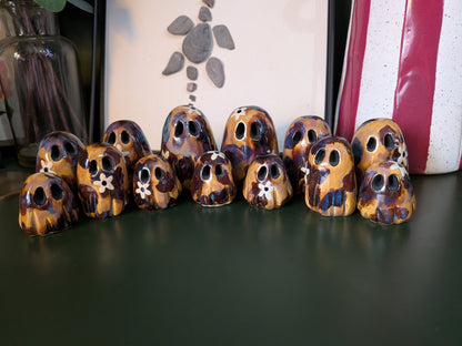Tortoise shell with daisy detail