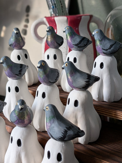 Pigeon love