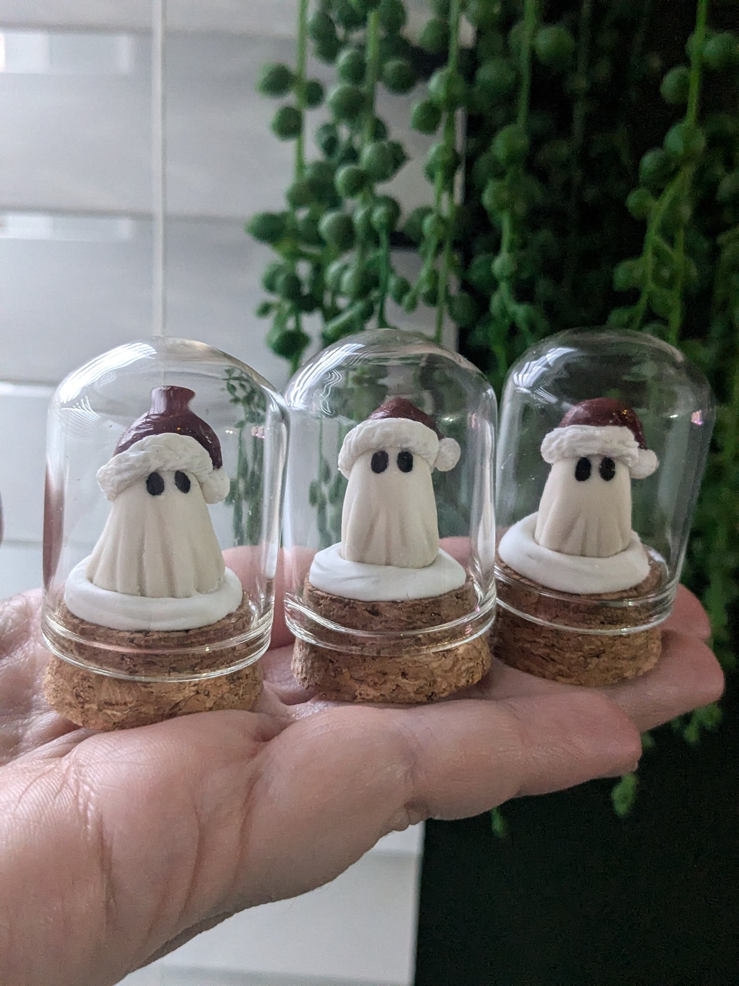 Mini terrariums