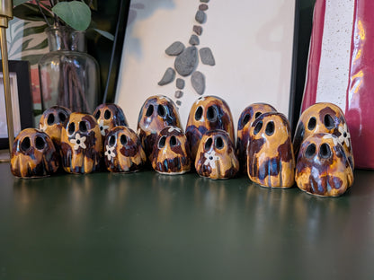 Tortoise shell with daisy detail