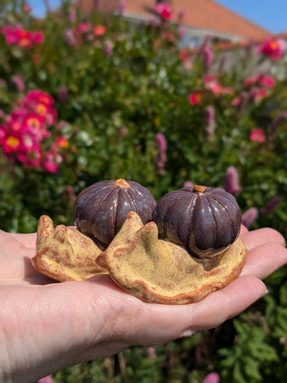 Ceramic pumpkin snail 🐌 Witches fig