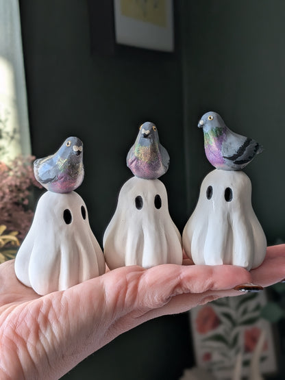 Pigeon love