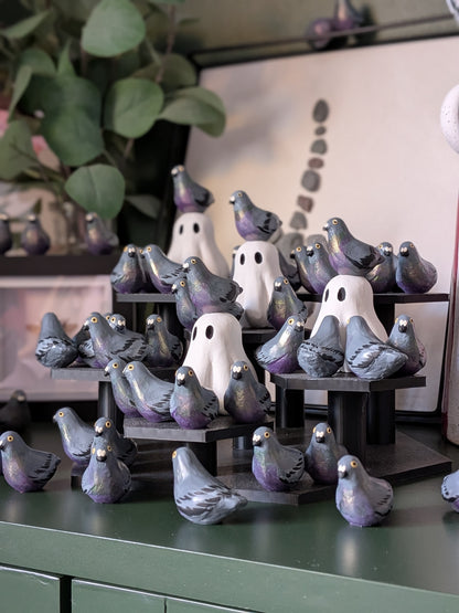 Pigeon love
