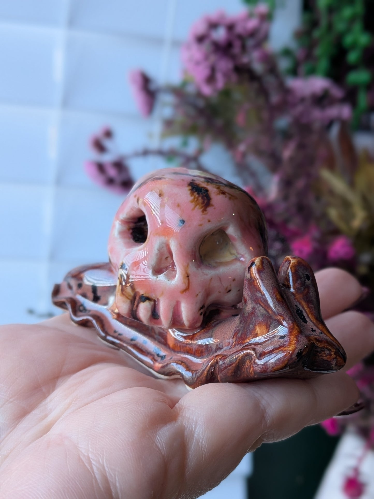 Peppered plum and Amaryllis