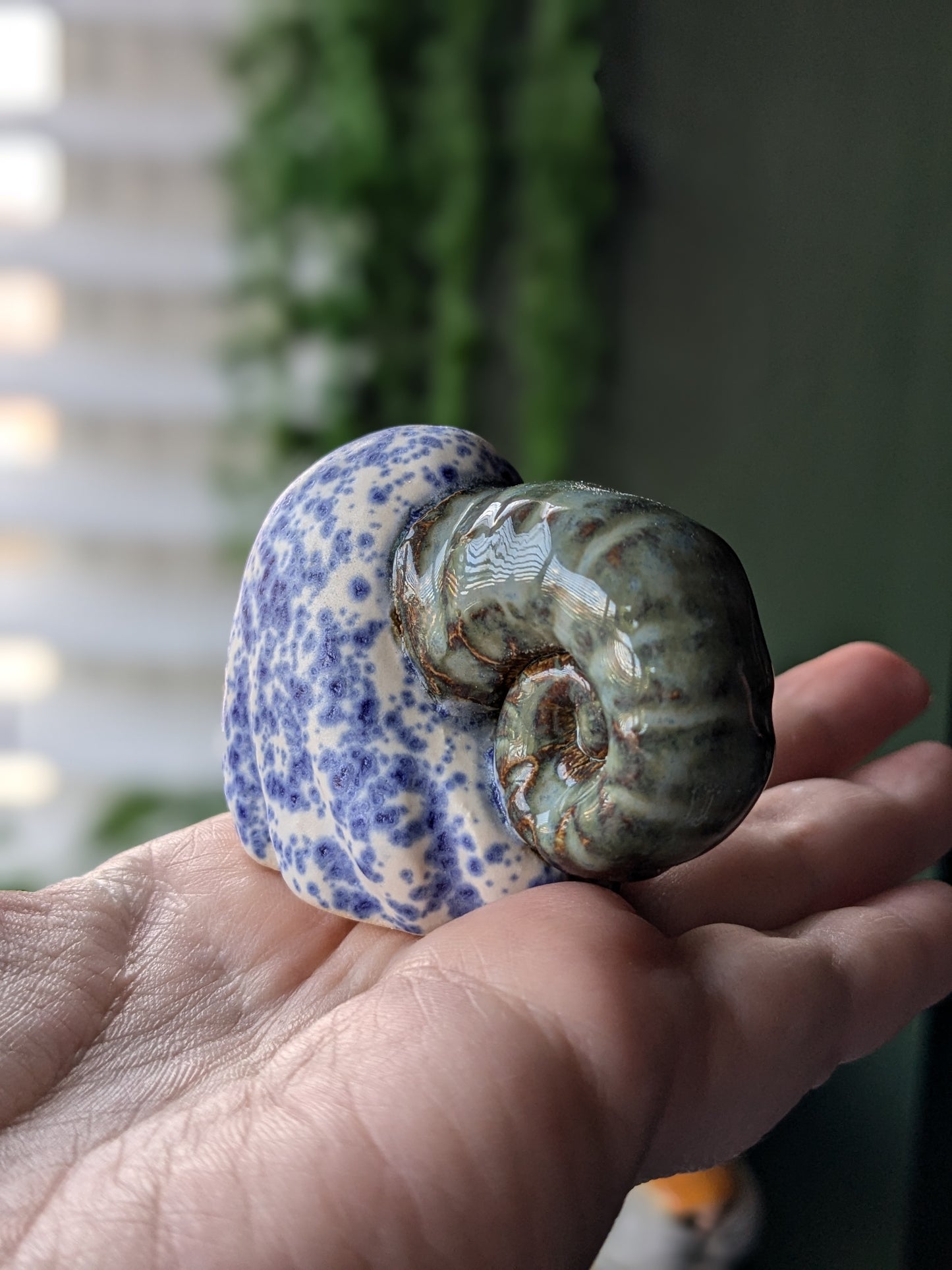 Speckled blue ghost snail