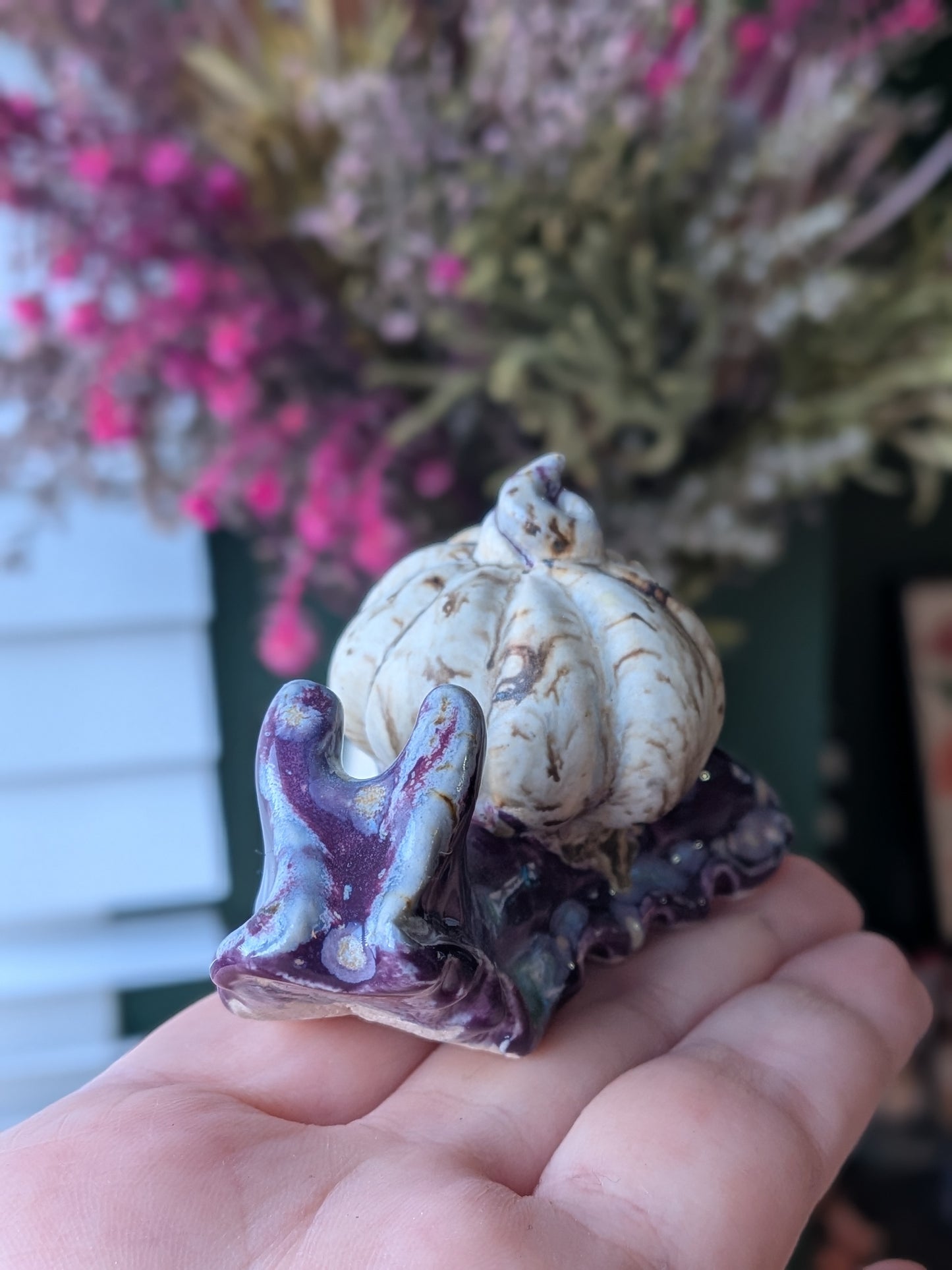 Winter wood & passion flower