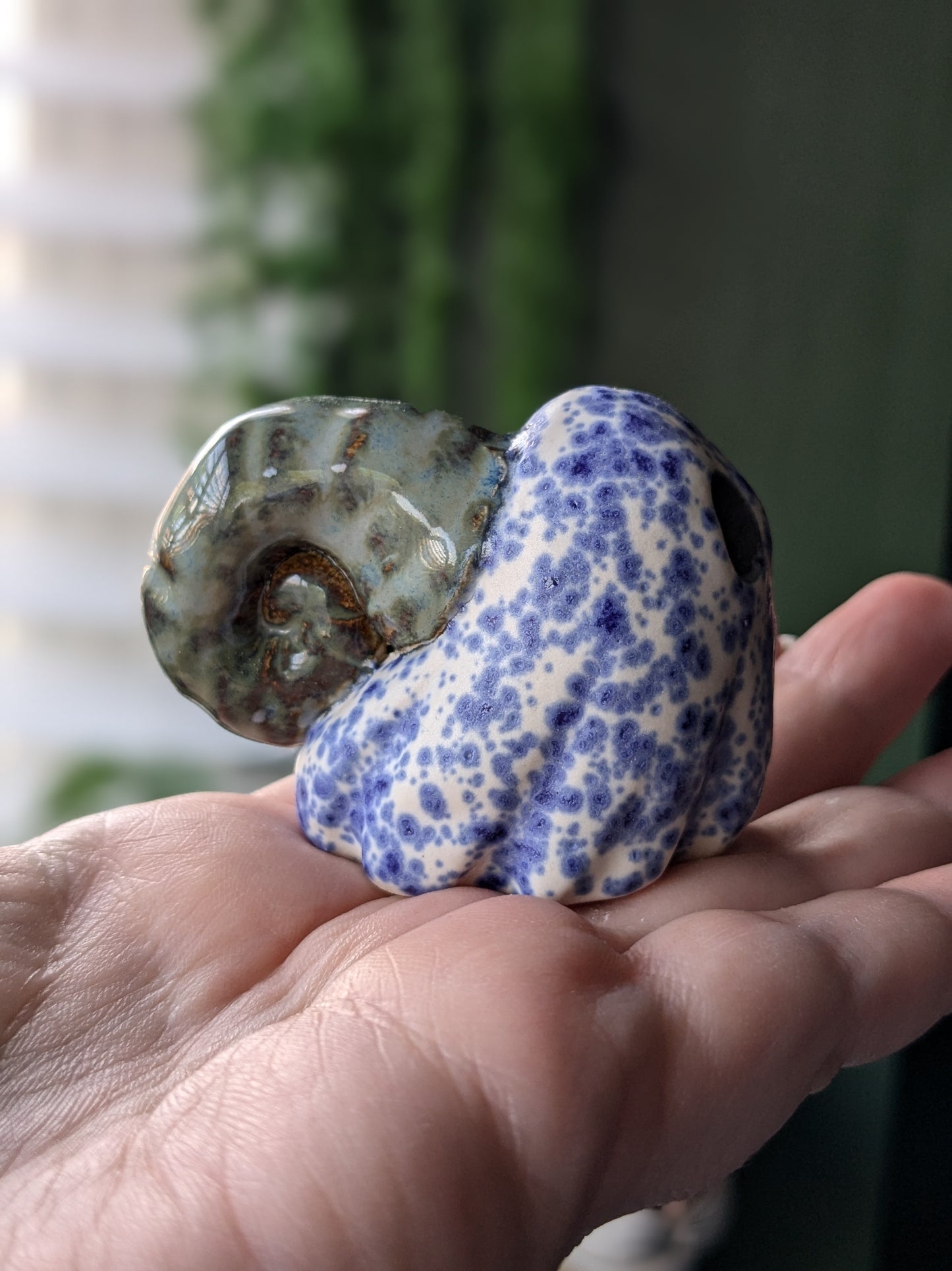 Speckled blue ghost snail