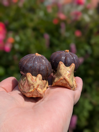 Ceramic pumpkin snail 🐌 Witches fig