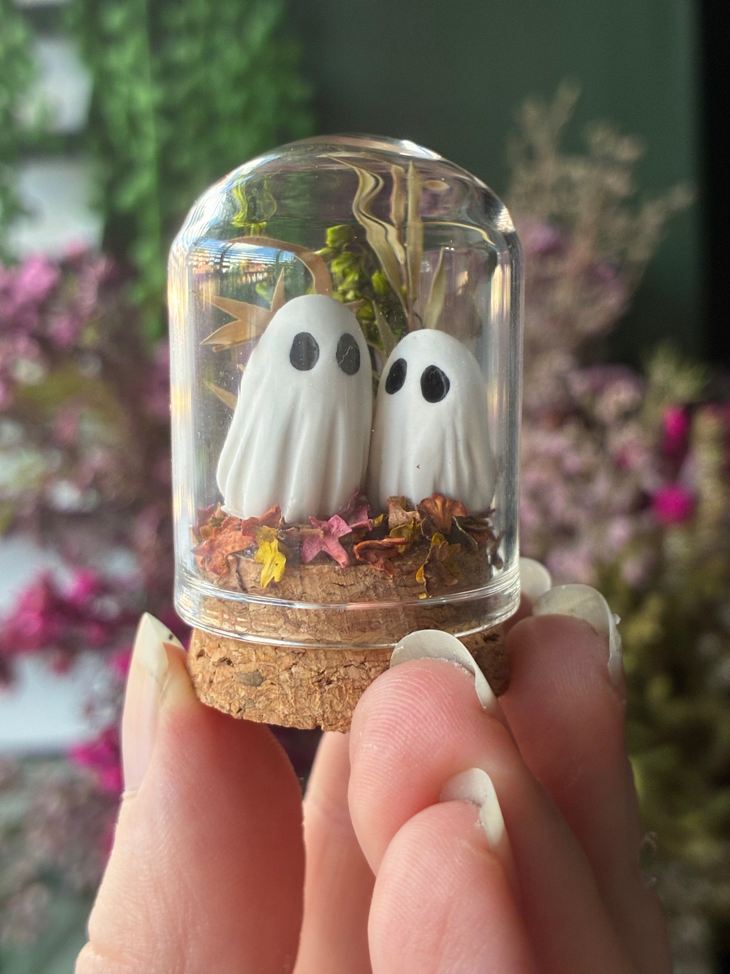 PREORDER Mini terrariums