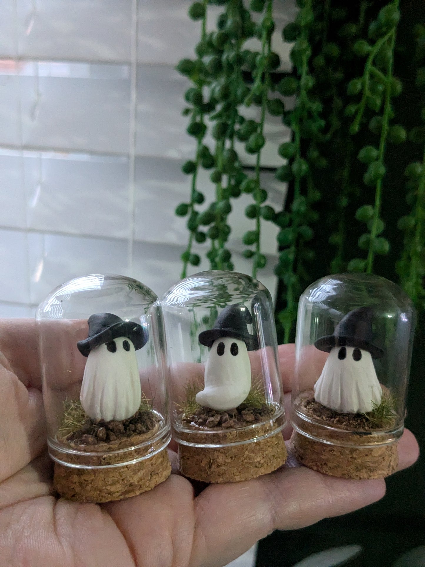 Mini terrariums