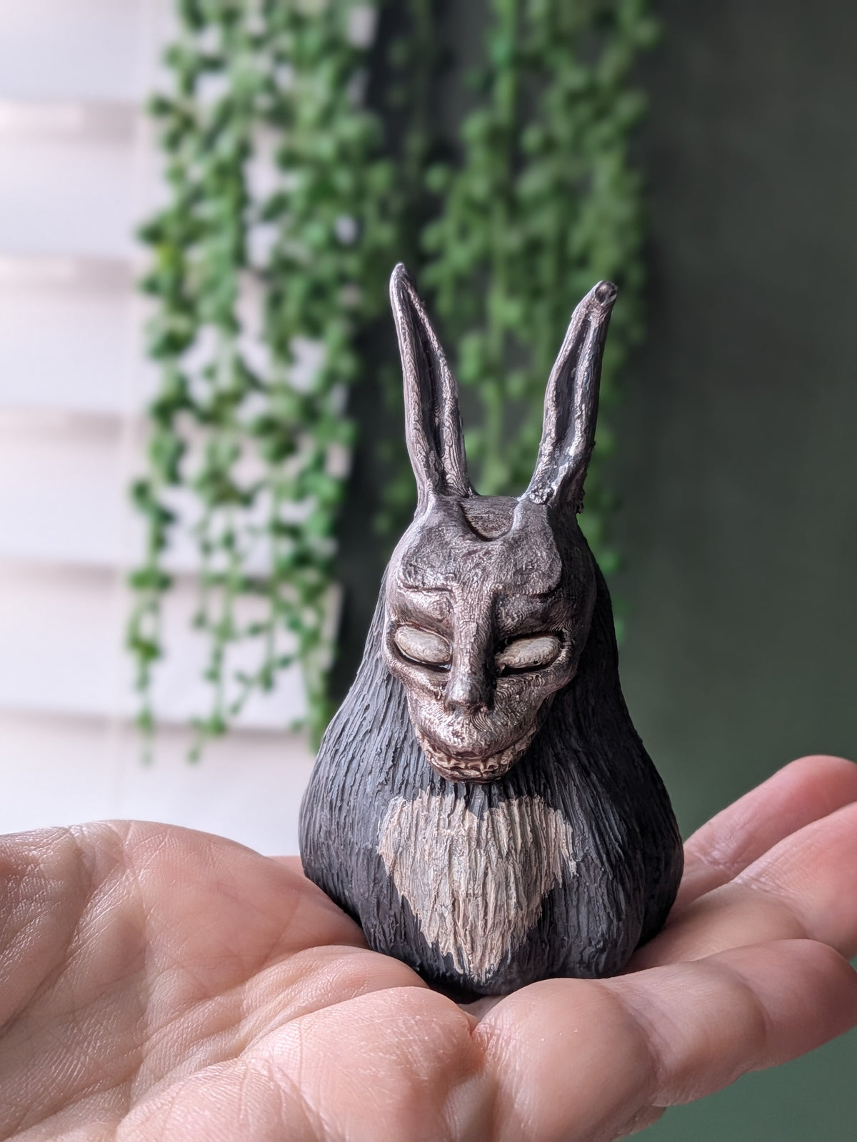 Frank 🐰