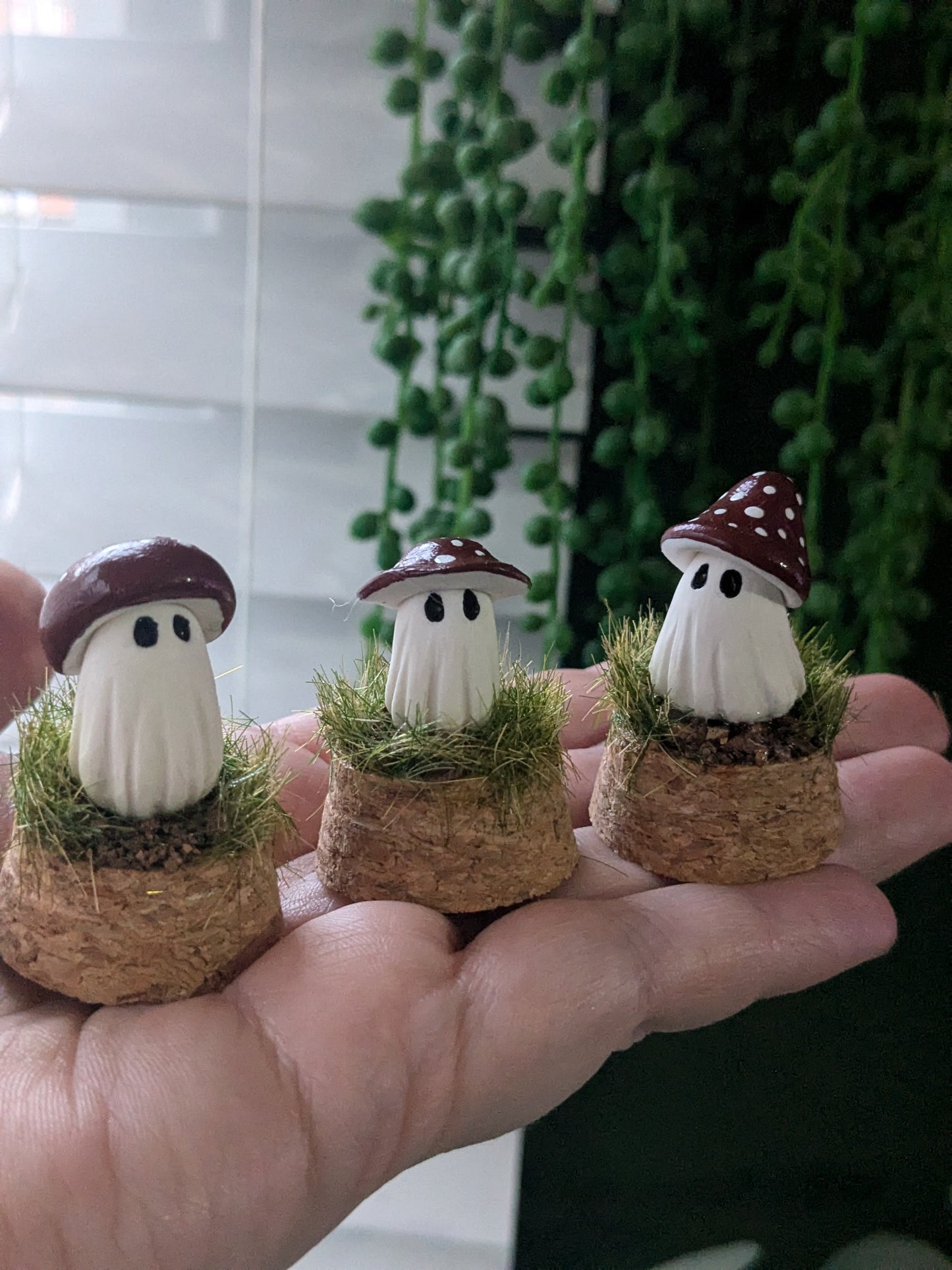 Mini terrariums