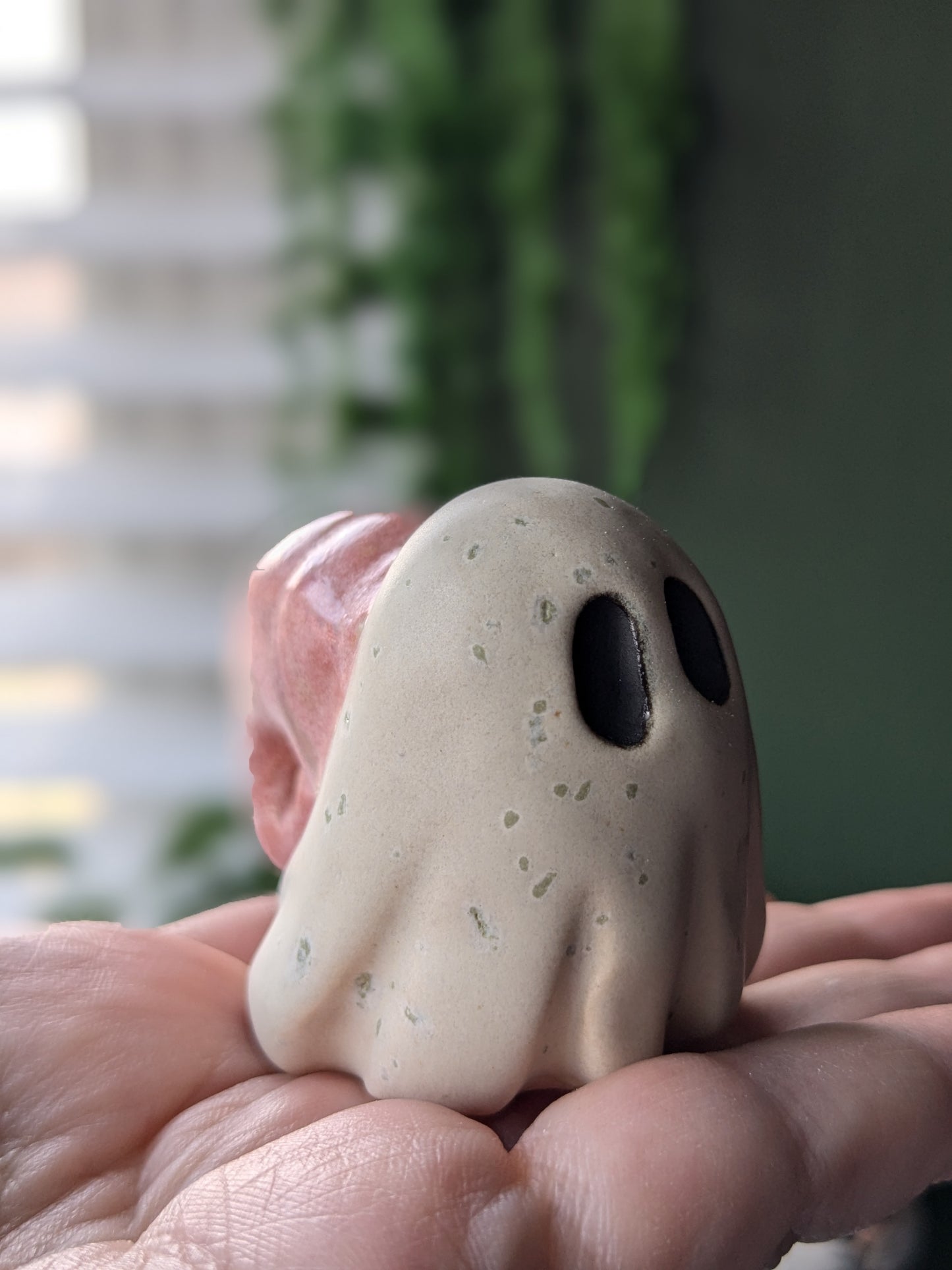 Pink ghost snail