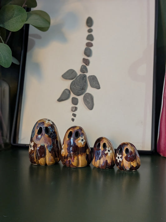 Tortoise shell with daisy detail