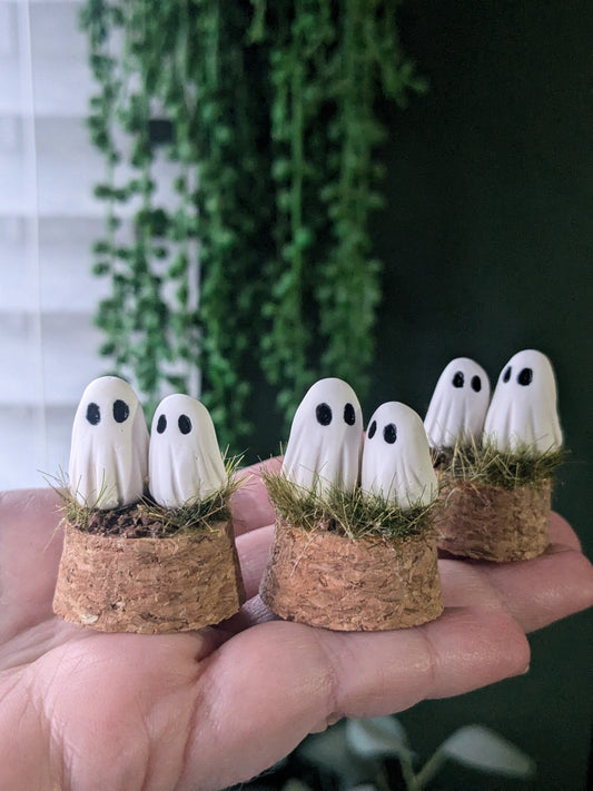 Mini Terrarium couples