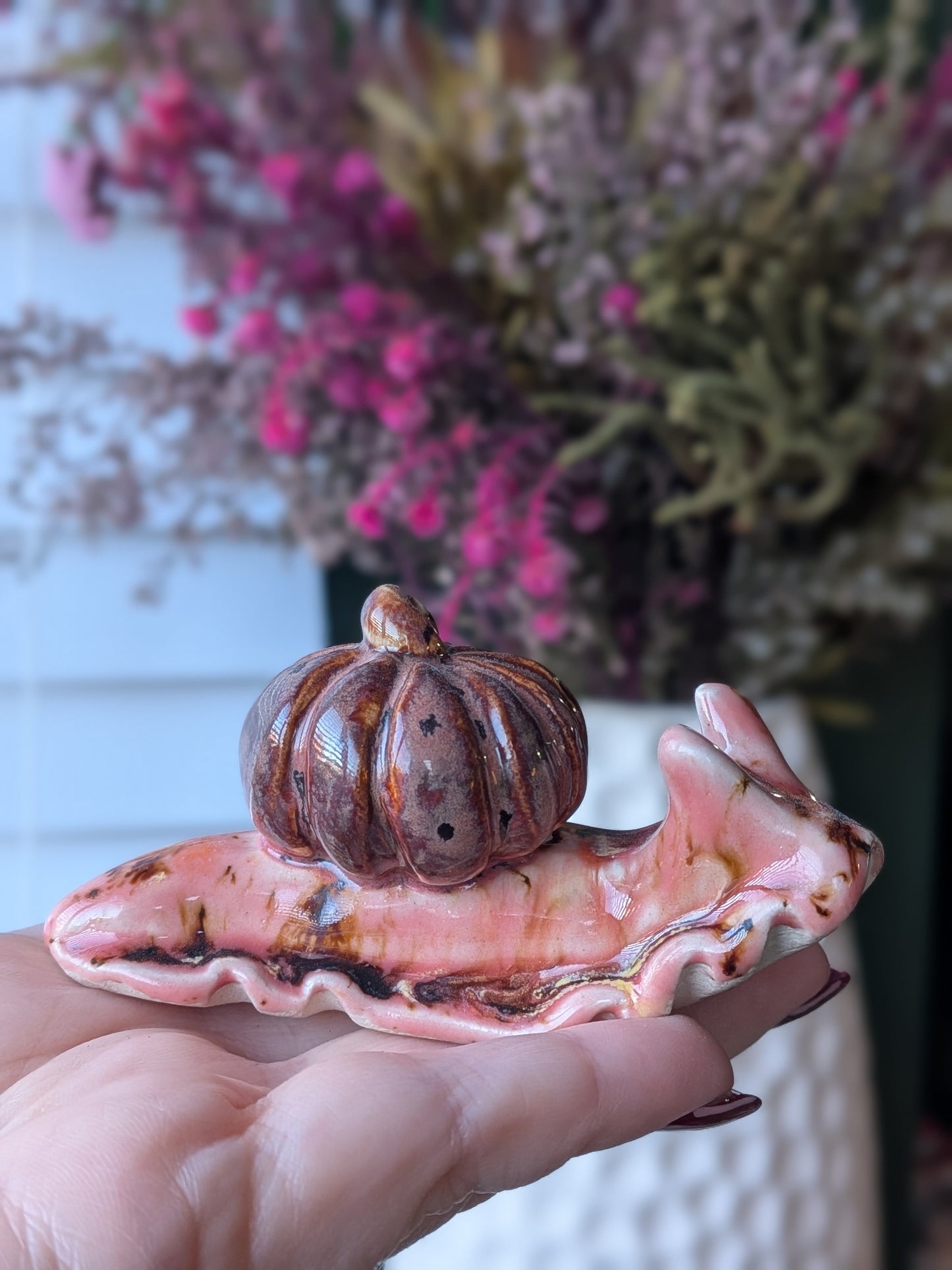 Peppered plum and Amaryllis