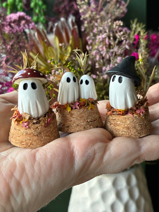 PREORDER Mini terrariums