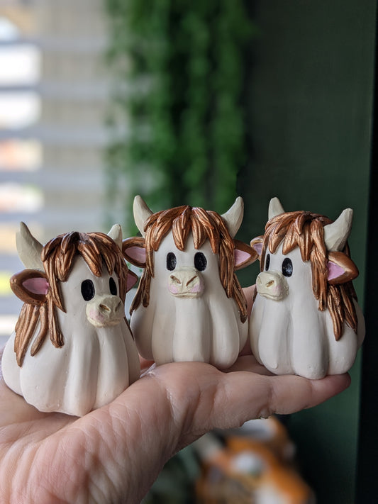 Highland cow