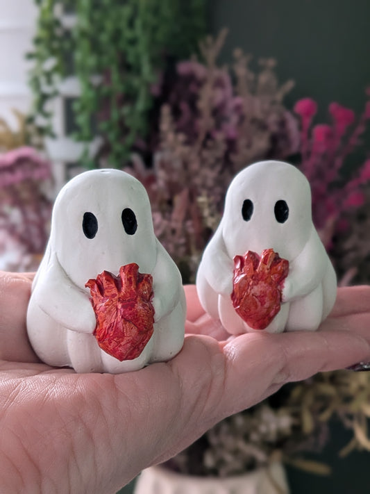 PREORDER Bleeding heart