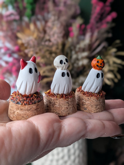 Mini terrariums