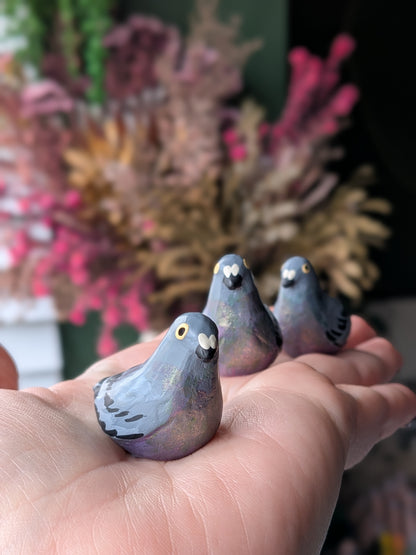 Pigeon love