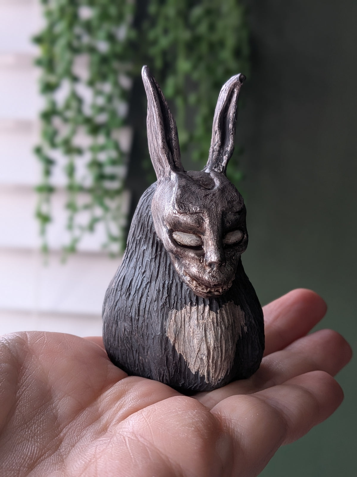 Frank 🐰