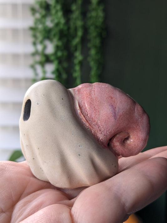 Pink ghost snail