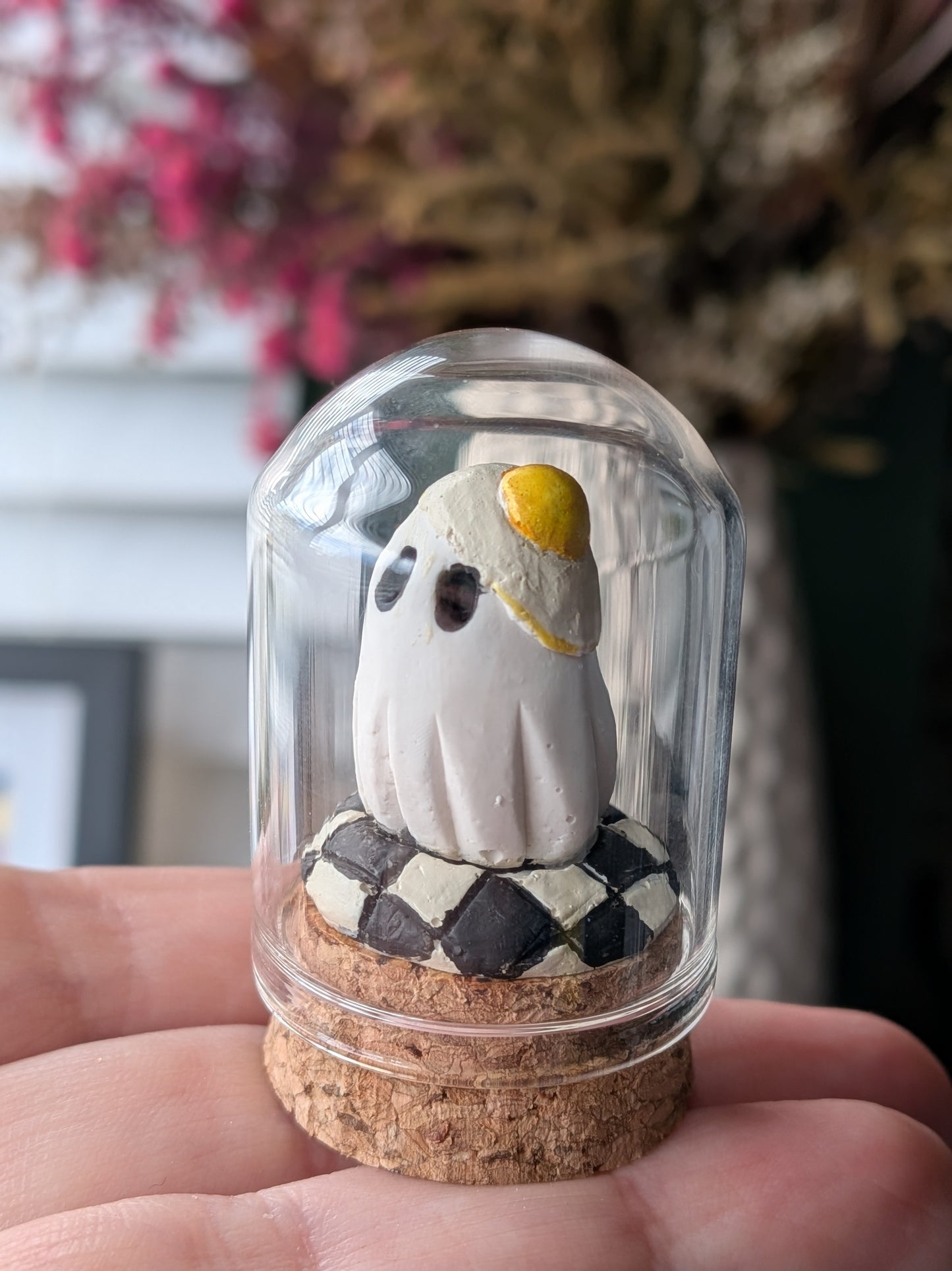Mini terrariums