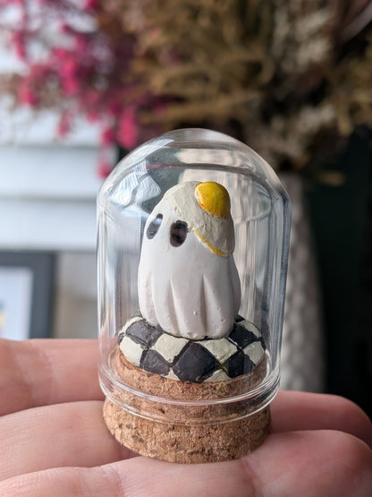 Mini terrariums