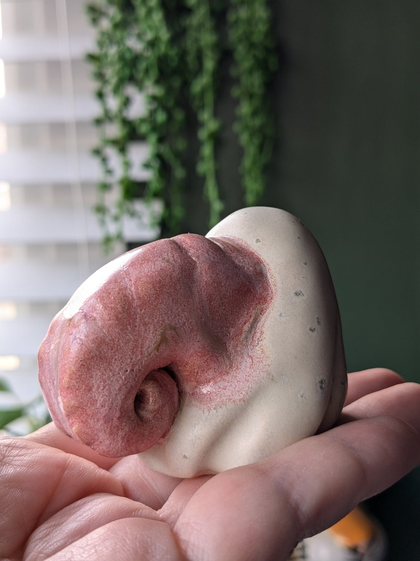 Pink ghost snail
