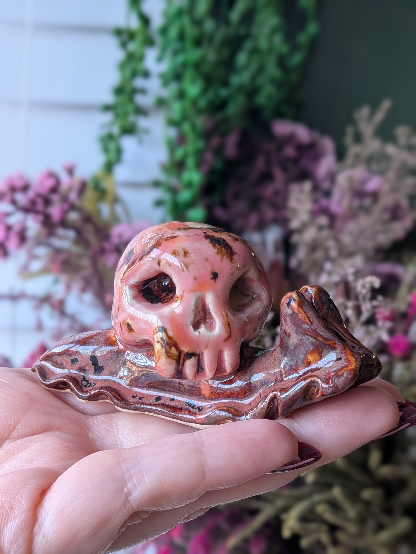 Peppered plum and Amaryllis