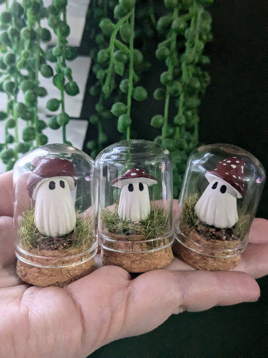 Mini terrariums