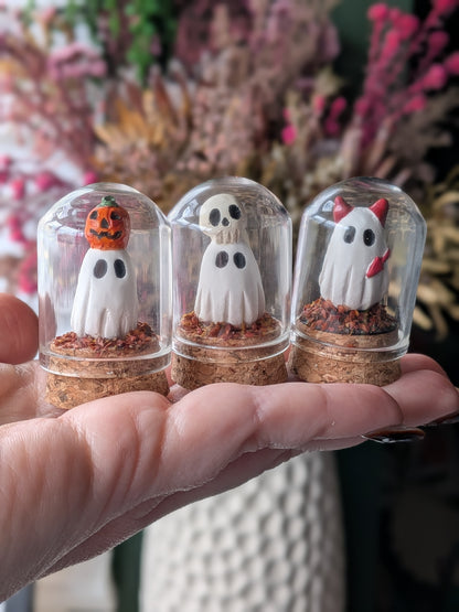 Mini terrariums